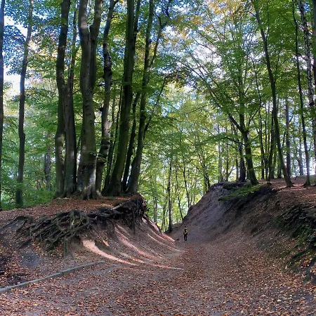 Apartament Przy Plazy Redlowo Apartment *