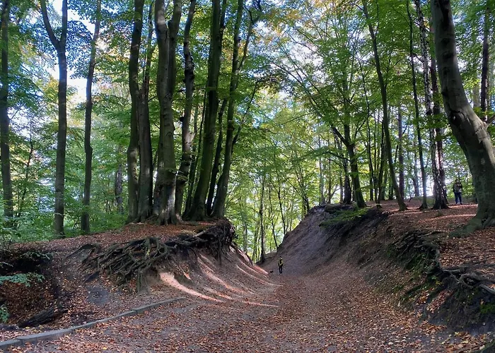 Apartament Przy Plazy Redlowo Апартаменты *